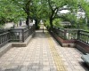 美登鯉橋/Midori Bridge
