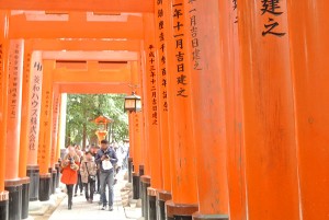 senbon-torii2
